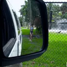 Tristan Summers in 'Shy Girl Fucks On The Bus'