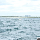 Vanessa Sky in 'Cuban Hottie Gets Rescued at Sea'