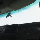 Veronica Church in 'Model Desperate For Cash'