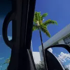 Violet Gems in 'Sexy Shy Violet'