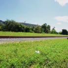 Violet Gems in 'Sexy Shy Violet'