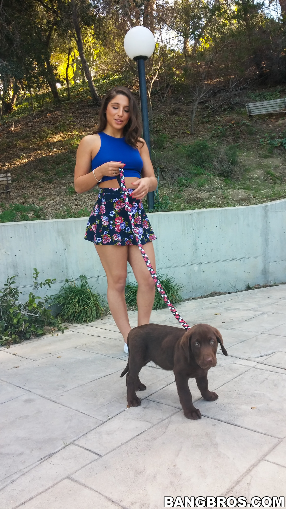 Abella Danger, 1st Monster Cock!