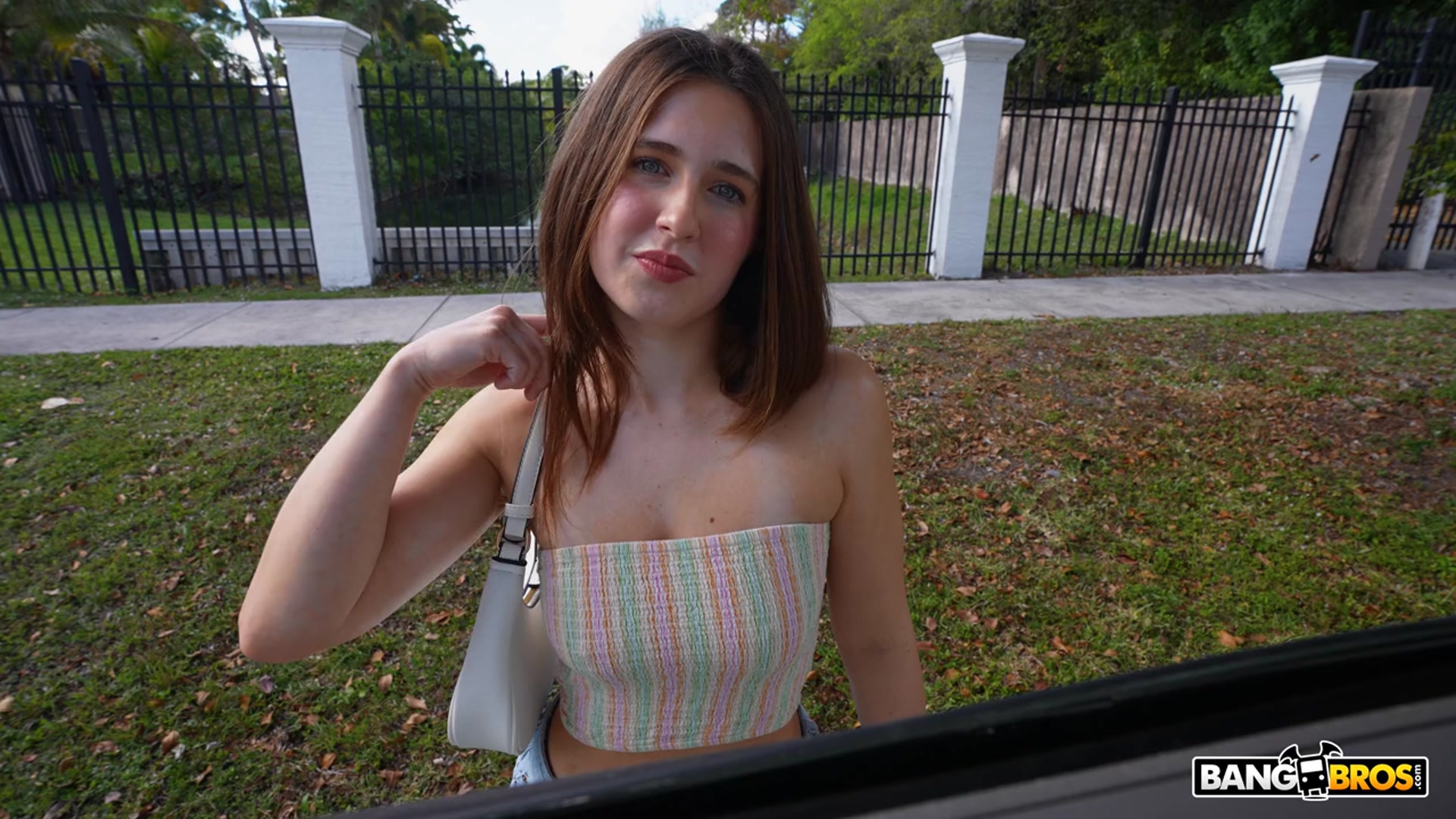 Creating Content with Alana