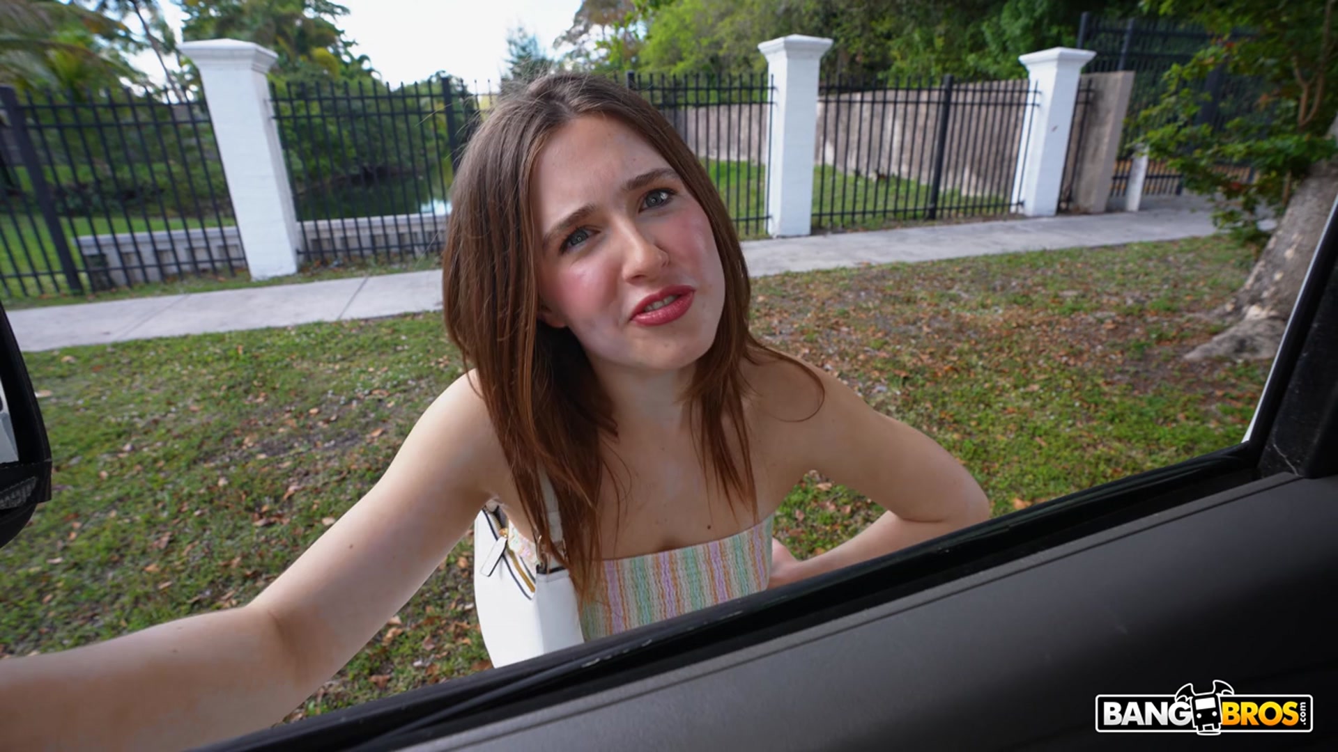 Creating Content with Alana