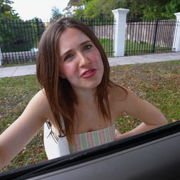 Creating Content with Alana