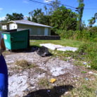 Alexis Andrews in 'Big Booty Stripper Takes The Ride'