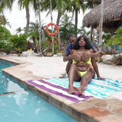 Fun At The Brown Bunny Resort