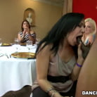 Amateurs in 'Celebrate!'