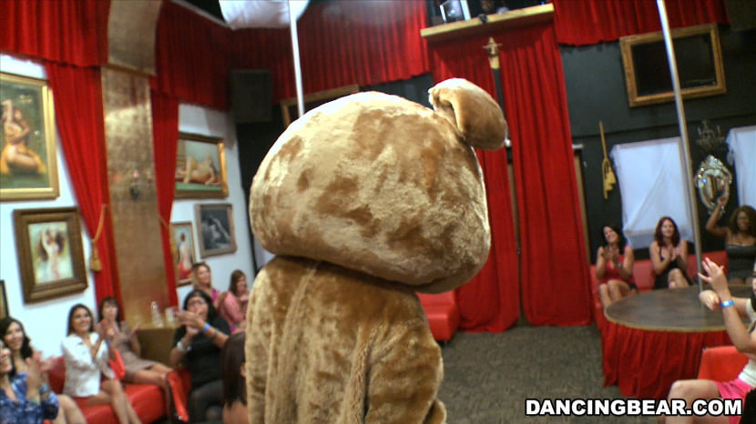 Crashing the club! Dancing Bear Style!