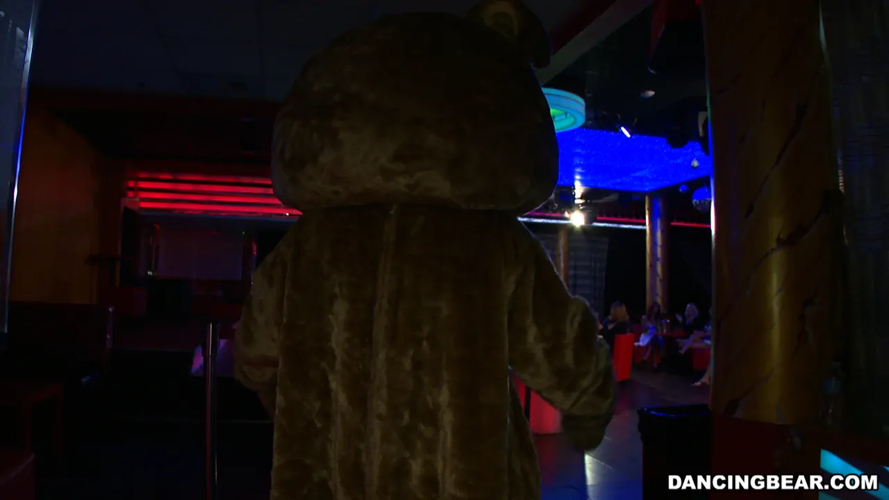 Amateurs - ¡Animales de fiesta! | Picture (1)