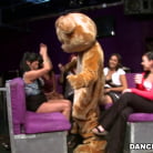 Amateurs in 'Party Party Party!!'