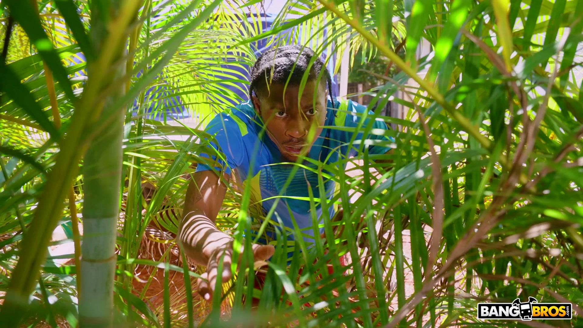 Ameena Rewards Her Creeping Neighbor