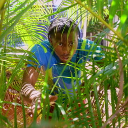 Ameena Rewards Her Creeping Neighbor