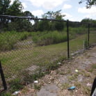 Amiee Cambridge in 'Hey Amiee what about Bob'