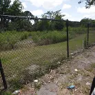 Amiee Cambridge in 'Hey Amiee what about Bob'