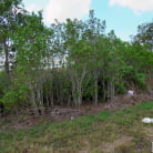 Angel Aurora in 'Valentine's Date on The Bus'