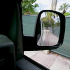 Apollo Banks in 'Luna Gives Stranger Some Pussy'