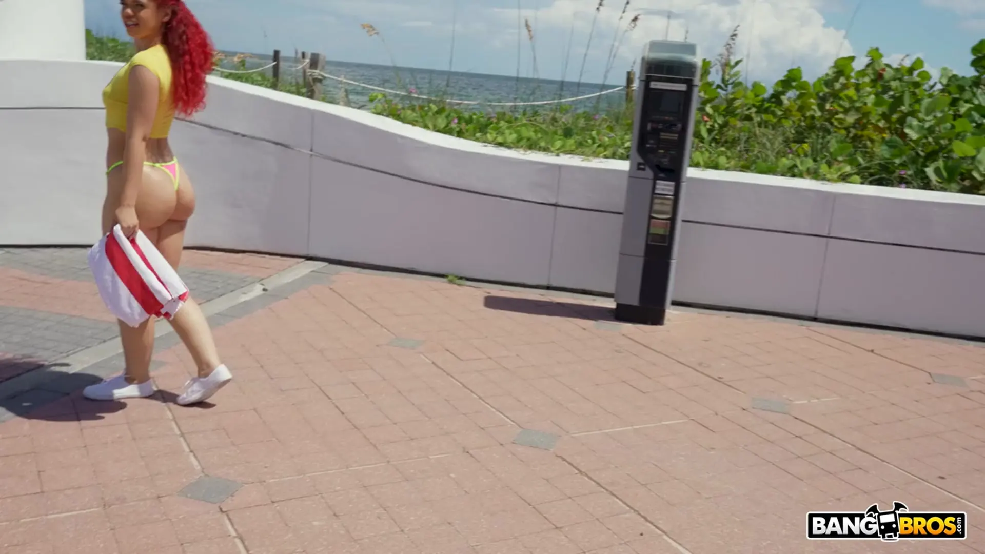 Archer Ali - Vacation Dick | Picture (71)