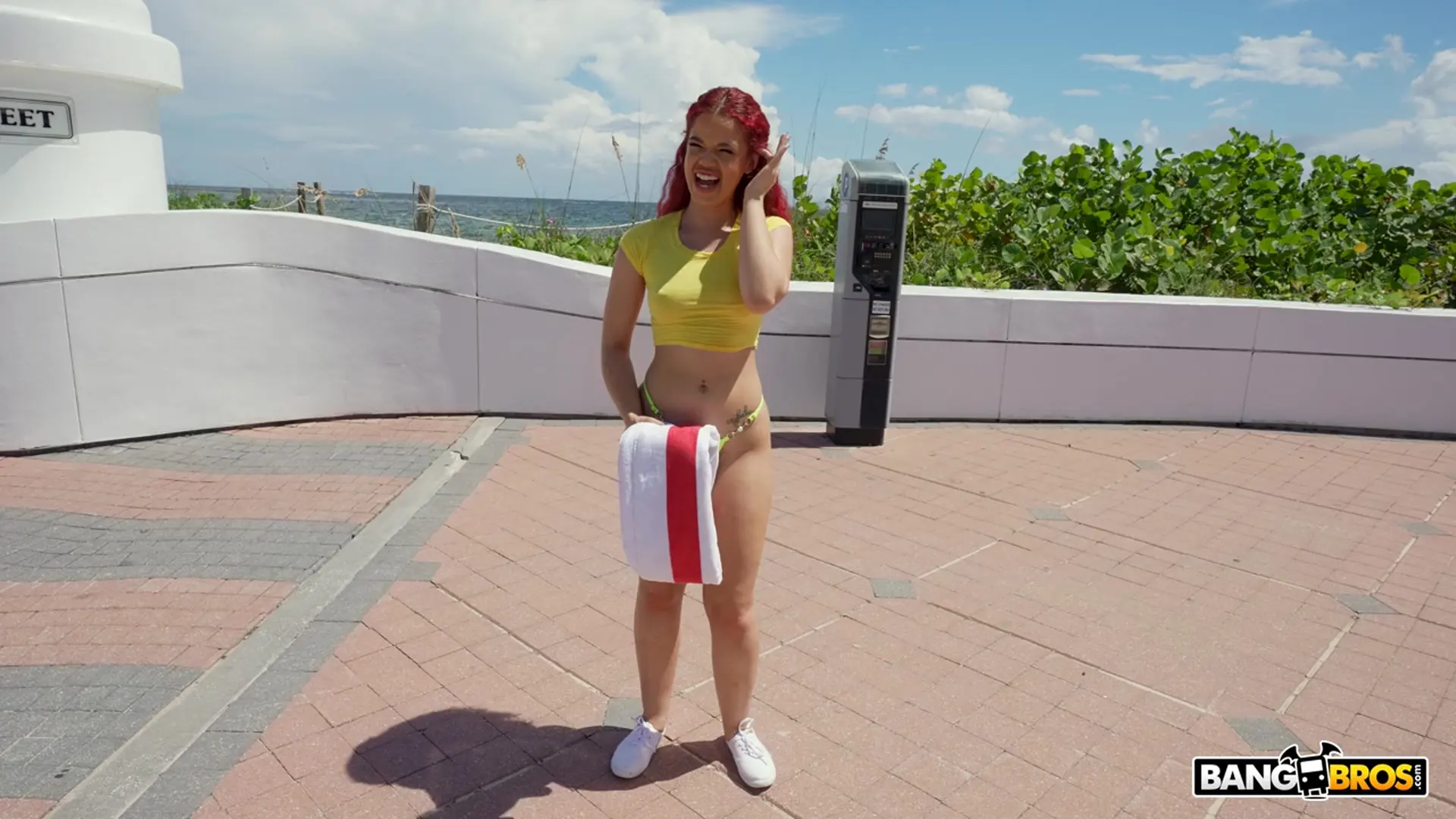 Archer Ali - Vacation Dick | Picture (142)