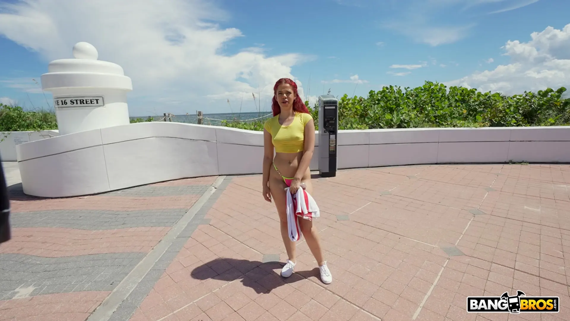 Archer Ali - Vacation Dick | Picture (213)