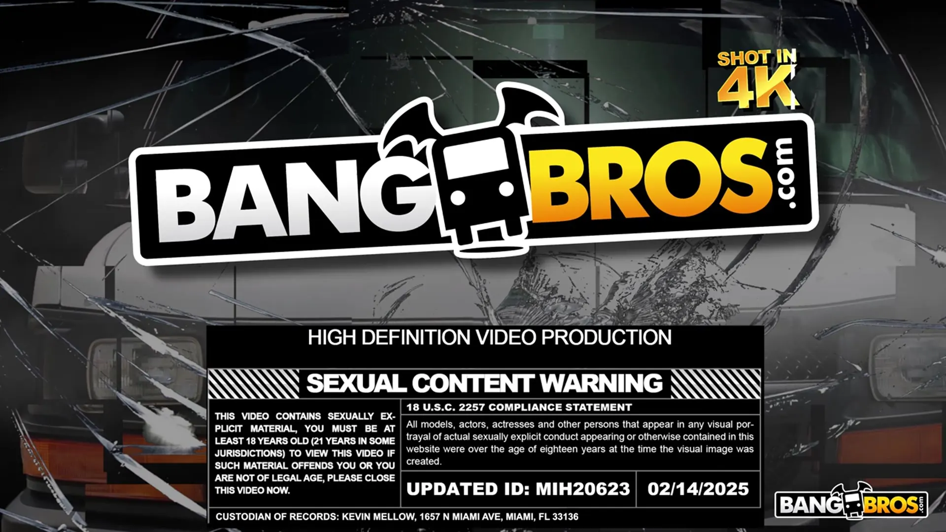 Areta Ridera - Teaching Stepson Anal For Bang Bros University | Picture (1)