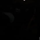 Aubry Babcock in 'Wild Moments in Miami for the First Time'