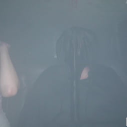 The Grim Pussy Ripper