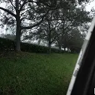 Bunny Fae in 'A Cute Bunny In The Bus'