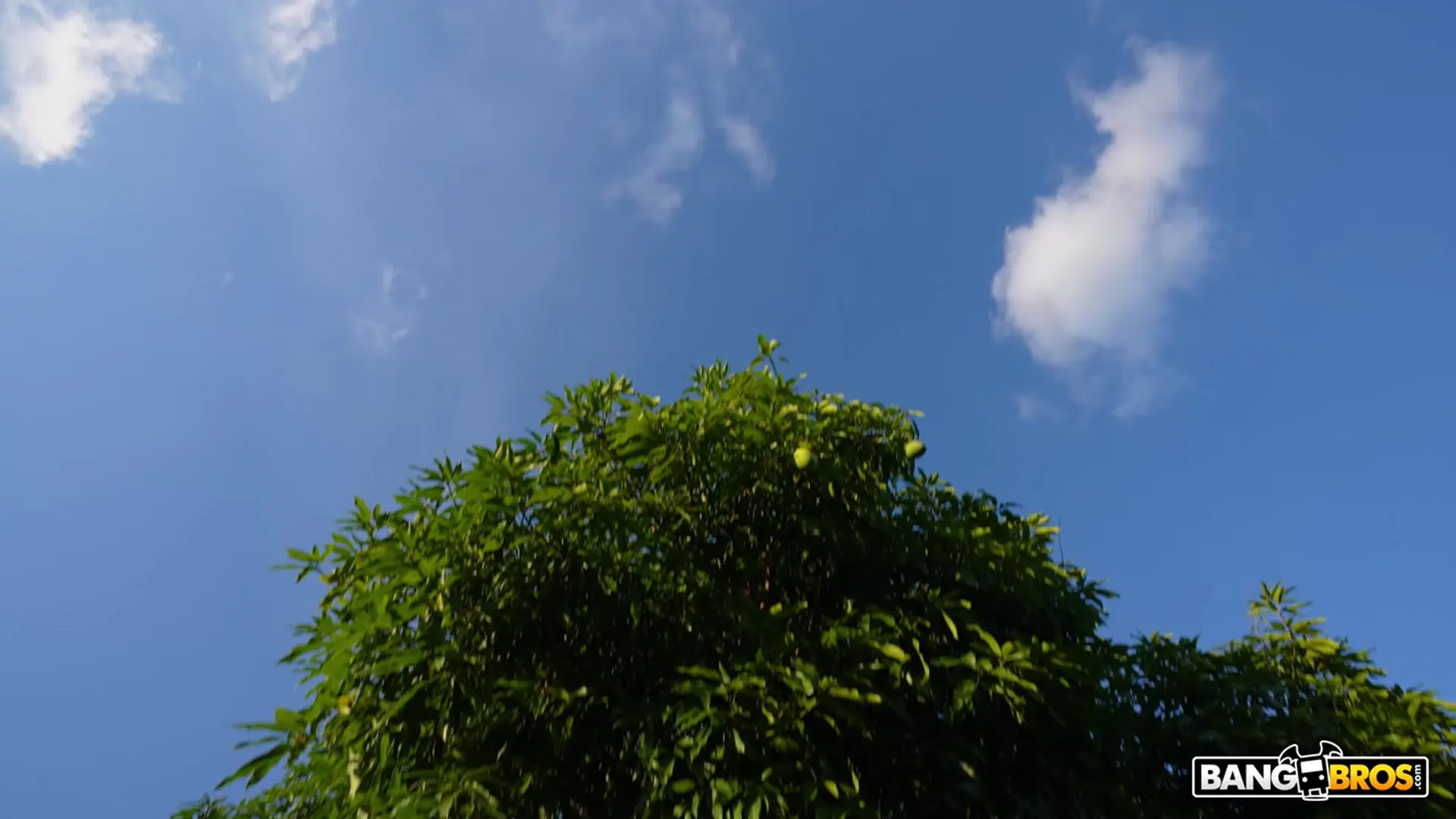 Carmen Caliente - Carmen Caliente Likes it Hot | Picture (64)