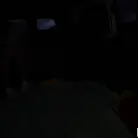 Cassie Lenoir in 'Old Man And The Cassie'