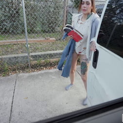 Homeless Pussy
