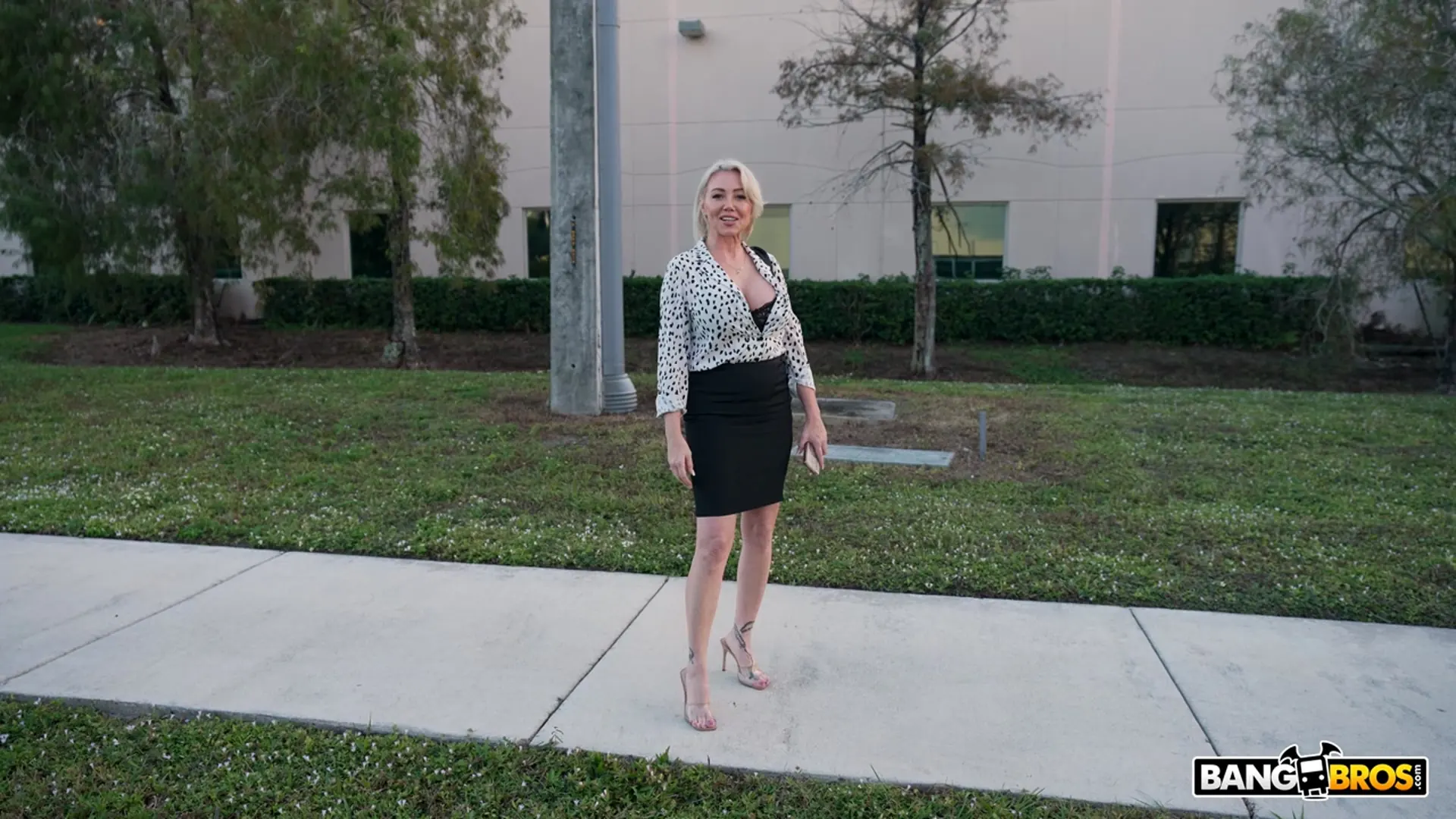 Chloe Adams - Una mujer de negocios folla en el autobús | Picture (162)