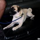 Coco Blue in 'Cute Blondie Gets Tricked on the Bus'