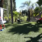 Dee Williams in 'Baseball Practice Turns Into A Wild Threesome'