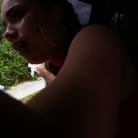 Demi Lowe in 'Scooping up a Chonga'