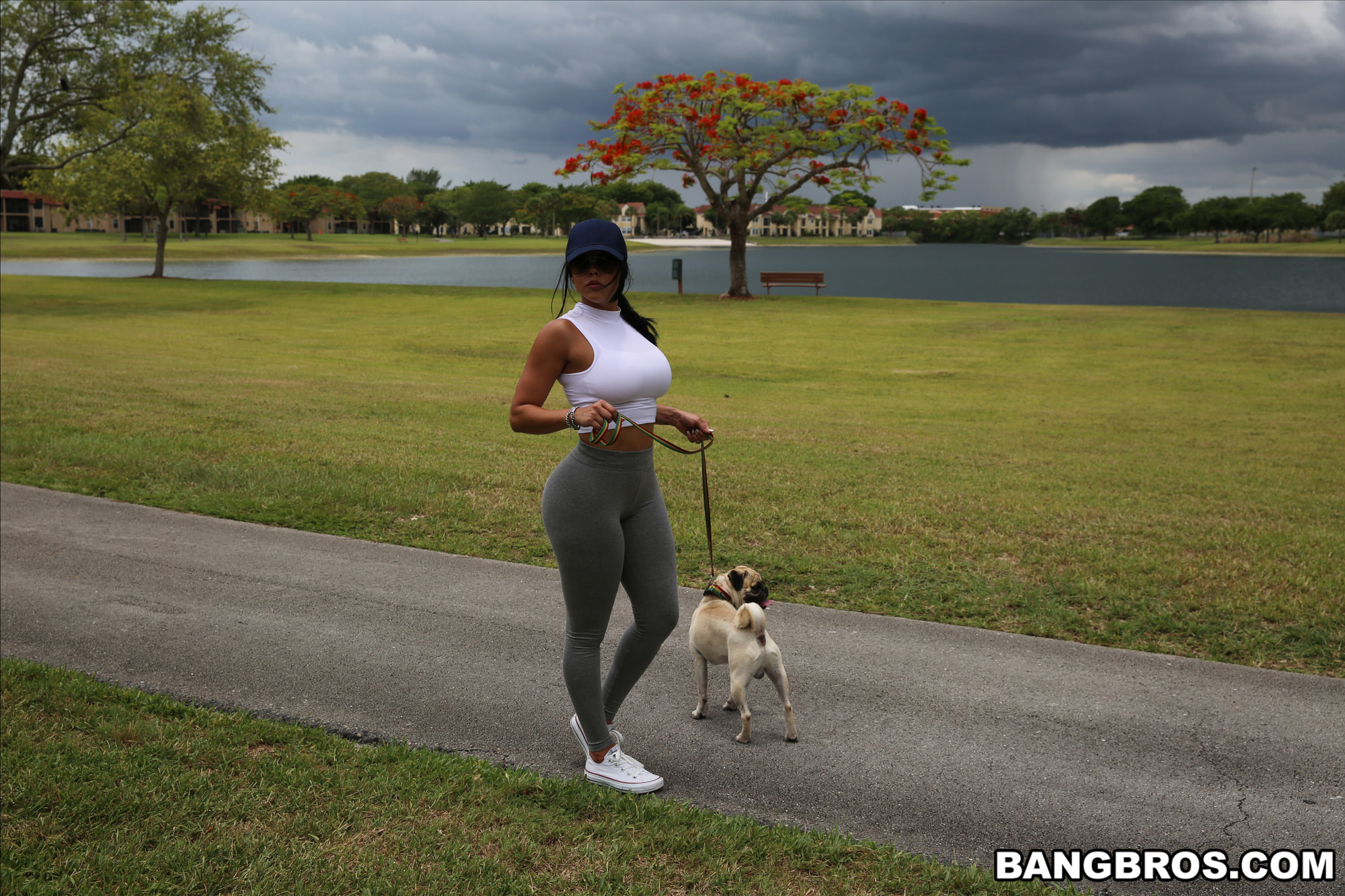 Diamond Kitty llega a Anal City