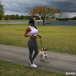 Diamond Kitty llega a Anal City