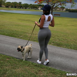 Diamond Kitty llega a Anal City