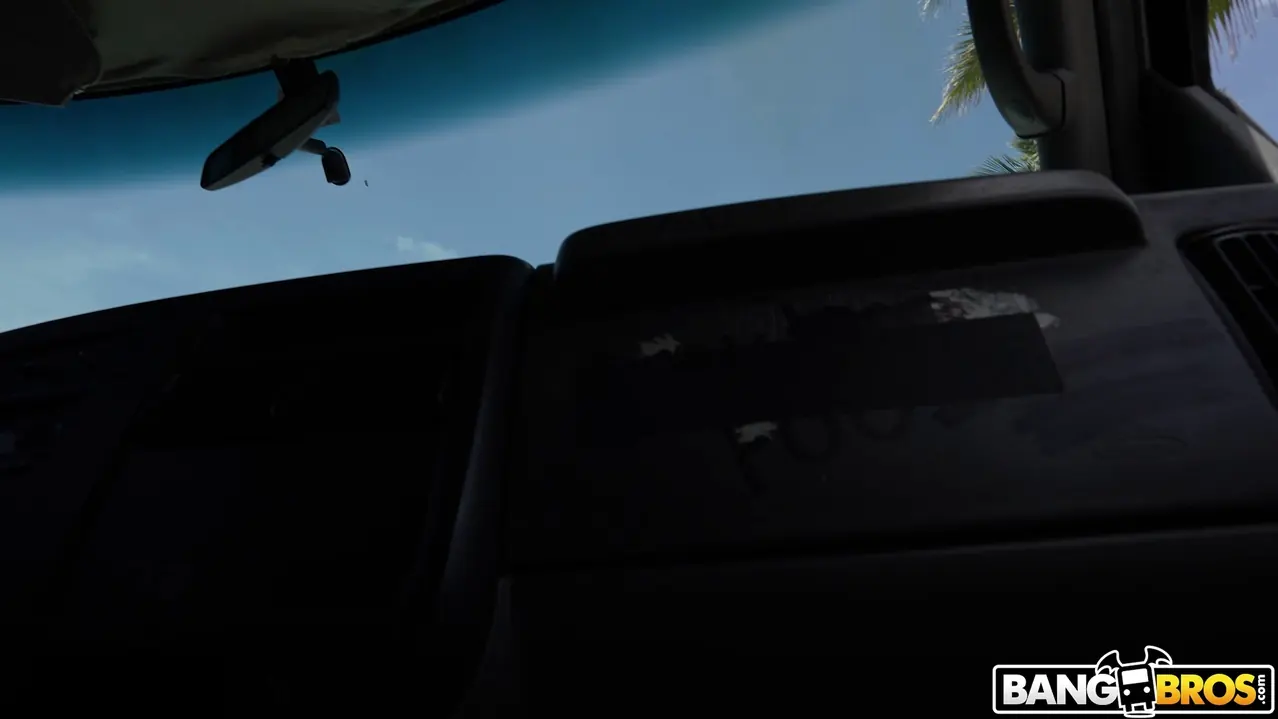 dirtydanii_69 - Getting Dirty on the Bus | Picture (75)