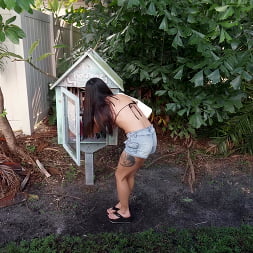 The Miami Experience