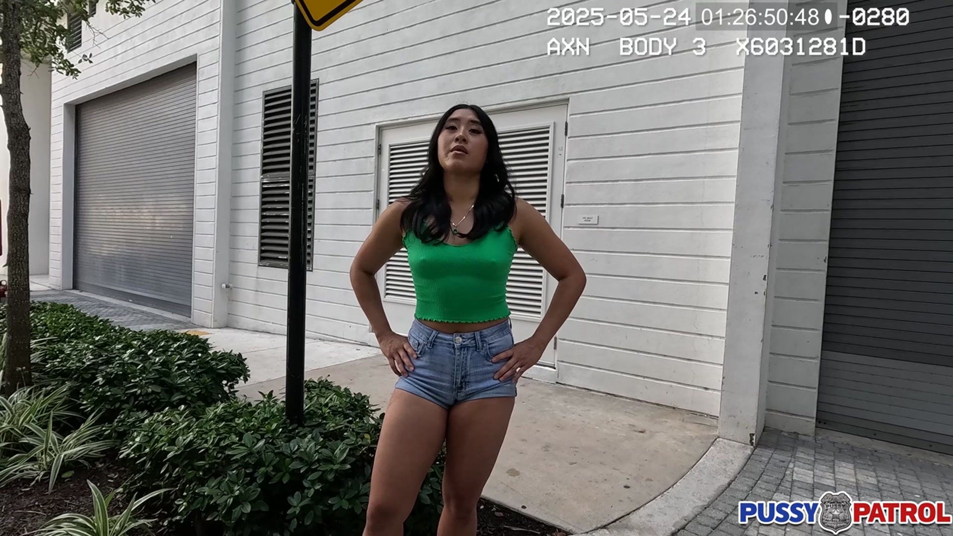 Charged With Disturbing the Pussy!