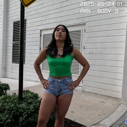 Charged With Disturbing the Pussy!