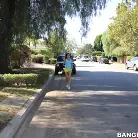 Francesca Le in 'Petting the Cougar'