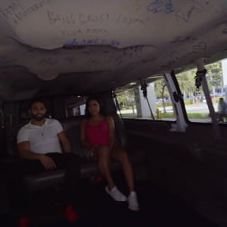 Vacationing On The Bus