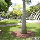 Gia Malone in 'New Pussy Is The Best Pussy'