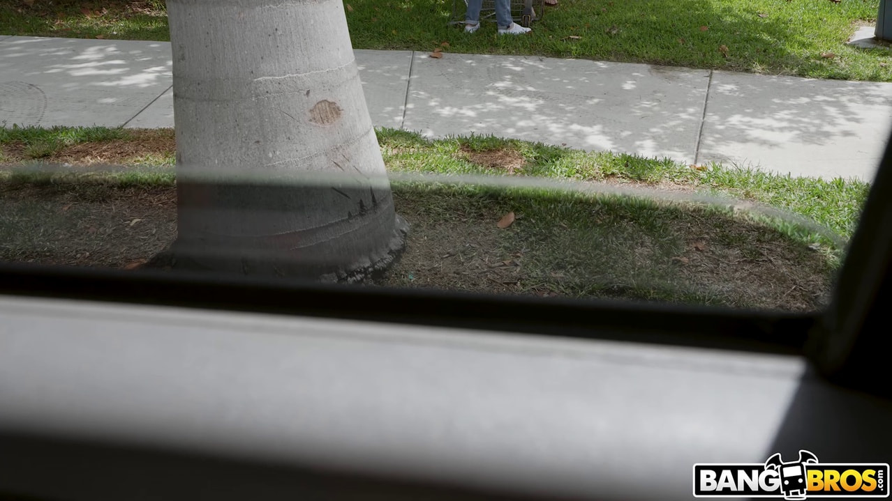 Horny Chick Hops on The Bus