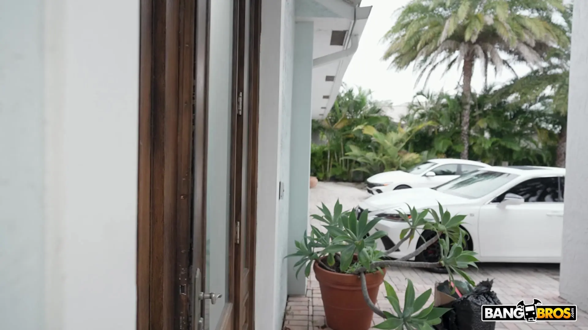 Indica Marie - ¡Eso sí que es un masaje! | Picture (51)