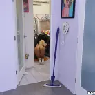 Jasmine Jae in 'Two bangers in the mouth'