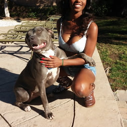 Sexy All Natural Ebony Tits