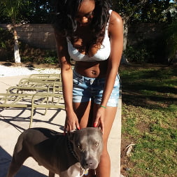 Sexy All Natural Ebony Tits